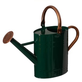 Gardenised 1 Gallon Galvanized Metal Watering Can with Removable Long Spout & Sprinkler Head for Indoor & Outdoor Use Ideal for Garden Flowers Potted Plants Houseplants Modern Home Accessories, Green