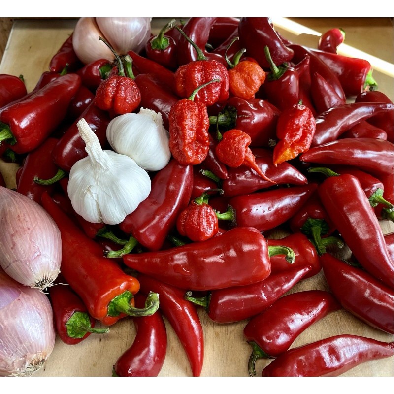 Hot Drop Organic Hot Sauce 🌶️