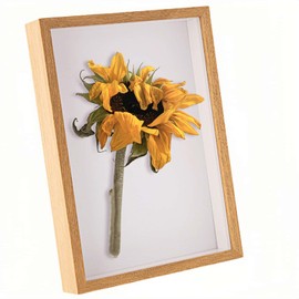 Picture Frames 8X6 Photo Frame - Shadow Boxes Wooden for Crafts 3D Deep Display Box with Mount for Flowers Medals Tabletop and Wall Hanging (Wood431,Depth 5cm)