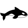 Cute Orca - 5" Vinyl Sticker - for Car Laptop