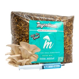 Mycelium's White Oyster Gourmet Mushroom Kit | 8LBS Oak and Soy Hull Substrate & Millet Grain Combo | Sterile & Nutrient-Rich for Home Growers | Includes 20ML White Oyster Liquid Culture Syringe