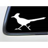Thatlilcabin - Roadrunner Bird Geococcyx 8 inch Car Sticker Decal