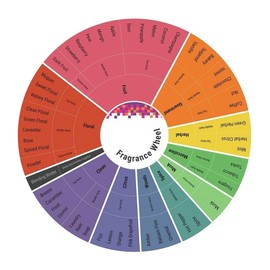 Violet Eyes Elizabeth Taylor 3 Pieces Gift Set Women 1.7 oz Eau De Parfum Spray + 1.7 oz Body Lotion + White Diamond Parfum Mini