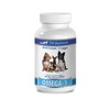 Brain Health for Dogs - Omega 3 - Advanced Complex