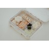 My Family Easy Clean Bento Lunchbox – Leakproof, Durable, BPA-Free
