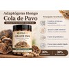 Hongos Adaptógenos Suplemento Hongo Cola Pavo 120 Cápsulas Extracto 100
