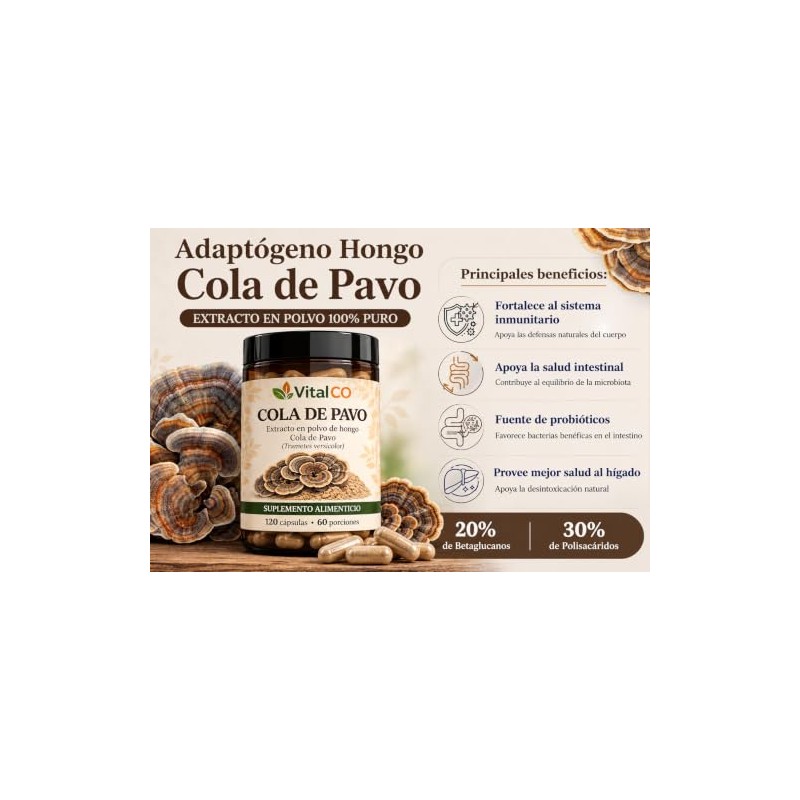 Hongos Adaptógenos Suplemento Hongo Cola Pavo 120 Cápsulas Extracto 100