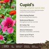 Eden Brothers Cupid's Flower Seed Mixed Seeds for Planting, 1
