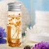 Coollooda Mini Bottles - Set of 10 Small Spice Bottles