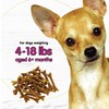 Fido Naturals Belly Bones for Dogs, 21 Yogurt Flavor Mini