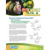 Organic Citrus Bergamot Extract - 120 Capsules - High Strength