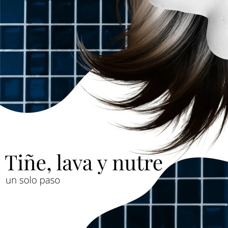 Shampoo Con Tinte Natural Dermafol Para Cubrir Canas 500ml Color