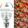 Vinaco PAR16 Halogen Bulb 60 Watt, 6 Pack High Output