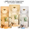 OYKYOHEI Semi Flush Mount Ceiling Light, Upgraded Larger Gold Glass