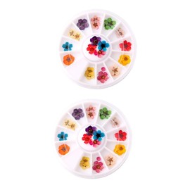 OHPHCALL 2 Boxes Nail Art Supplies Dried Flowers for Nails 5 Petal Blossoms Assorted Colors Perfect for DIY