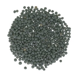 Black Lentils | 25 LBS | Emergency Food Storage Bucket | Non-GMO | Vegan | Bulk