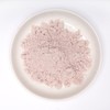 Black Salt Edible Powder Black SALT Salt (17.6 oz (500