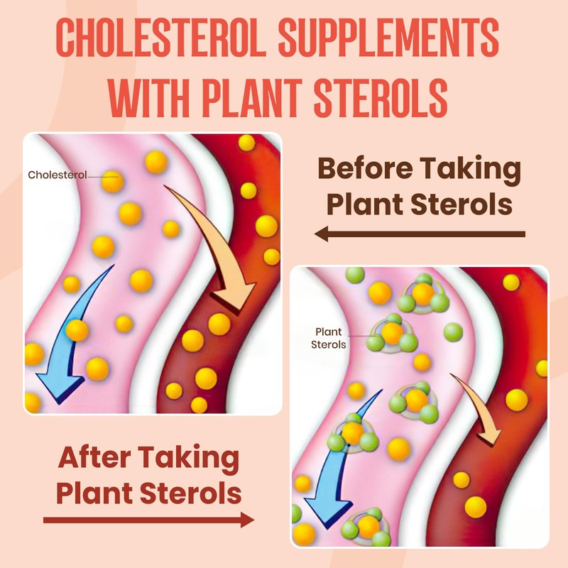 Cholesterol Supplement with Plant Sterols & Stanols, Guggul, Bergamot Orange