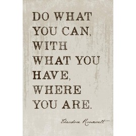 Keep Calm Collection Do What You Can (Theodore Roosevelt Quote), motivational poster