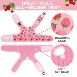 BINGPET Cat Harness with Leash Escape Proof - Fashionable Mesh Cat Dog Walking Harness Leads, Adjustable for Kitties Puppies Small Animals