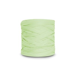 CIRCULO Premium T-Shirt Yarn. Bulky Yarn - Soft, Lightweight, Seamless, Knot-Free. Easy-to-Use., Fettuccini Zpagetti, T Shirt Yarn for Crocheting & Knitting- 153.1 yds, (5427 - Sprout)