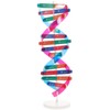 NUOBESTY Double Helix Model DNA Model Kit DNA Structure Models