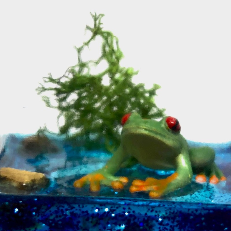 Fish Belli Mini Desk Pet with Adoption Certificate (Frog)