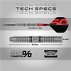 RED DRAGON Penetrator 1 - 25g Professional Tungsten Darts |