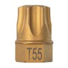 T55 Torx Dual Drive Bit