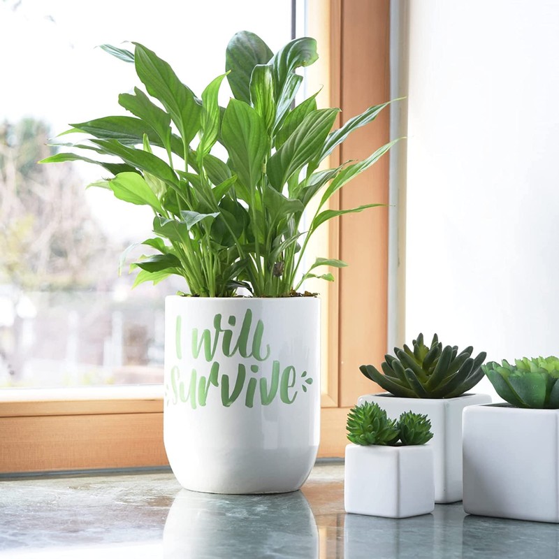 uni POSCA PC-3M Water-Based Paint Markers, Reversible Fine Tip (0.9-1.3mm),