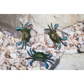 4 - Decorative Blue Crab Wall Decor, Poly-Resin, 6 Inch, 3D Realistic Design, Green and Blue with White and Red Accents, Indoor Mounting, CR-02