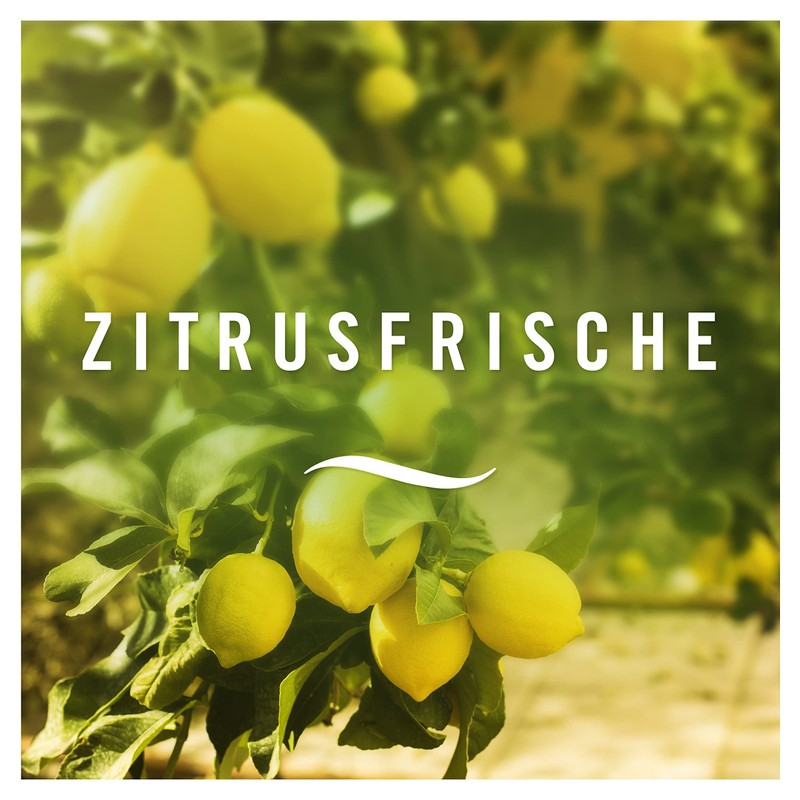 Febreze Lenor Citrus Fresh Bathroom Air Freshener for Continuous Odour