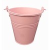 Spring life 11CM METAL TIN HERB FLOWER BUCKET POT PLANTER