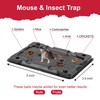 Pelrayt Glue Mouse & Insect Traps Indoor for Home -12