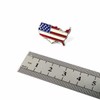 [F NODE] American Flag Design Pin Badge Country Silhouette Shape