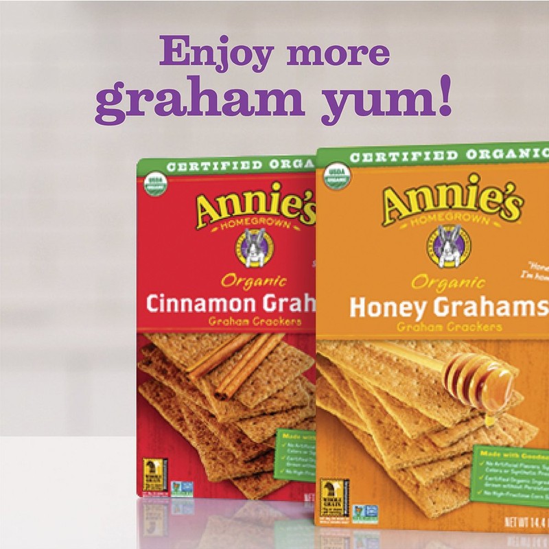 Annie's Organic Cinnamon Graham Cracker Bricks Graham Bricks 14.4 oz