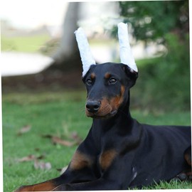 Levemolo 1set Dog Ear Support Rods with Tapes for Puppy Ear Soft Easy to Use and Comfortable