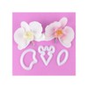 FMM Moth Orchid
