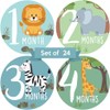 Baby Monthly Milestone Stickers – Set of 24 Zoo Animals