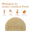 Arista Solid Shampoo for Oily Hair