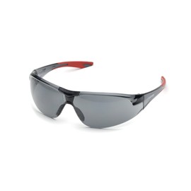 Delta Plus SG-18G Avion Safety Glasses, Grey Lens with Red Temple Tips, One Size