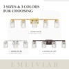 Emliviar 3 Light Vanity Wall Sconce, Farmhouse Bath Wall Lantern