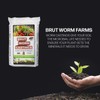 Brut Worm Farm All Natural Organic Worm Castings Soil Builder,