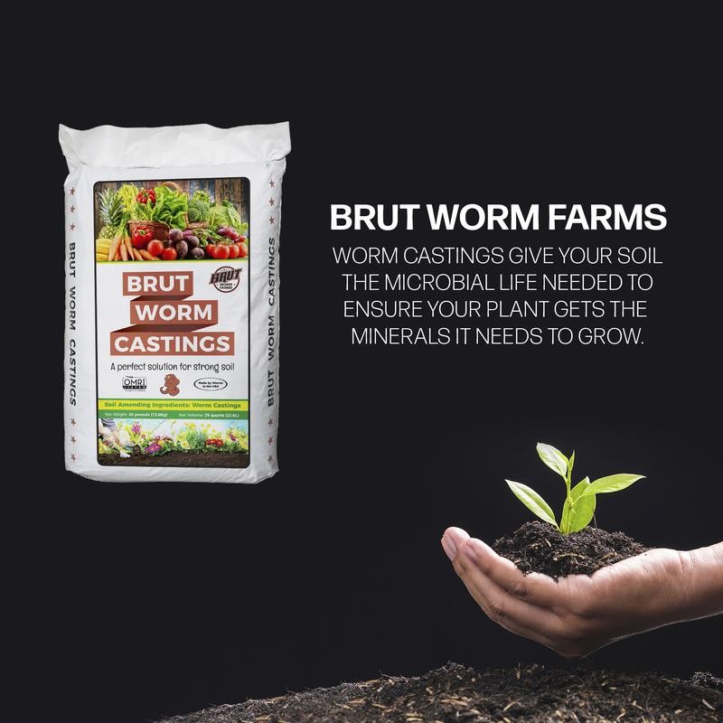 Brut Worm Farm All Natural Organic Worm Castings Soil Builder,