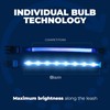 Blazin Light Up Dog Collar - The Original LED Dog