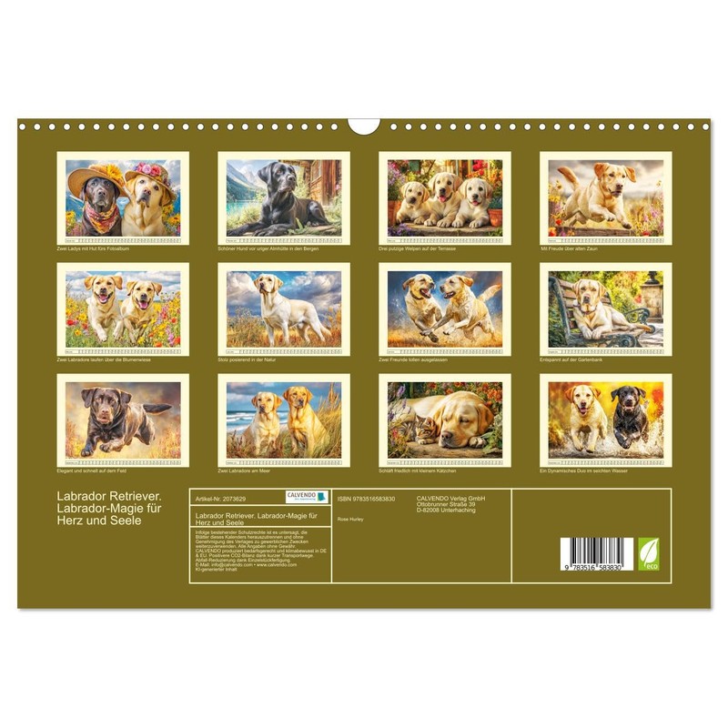 Labrador Retriever. Labrador-Magie für Herz und Seele (Wandkalender 2026 DIN