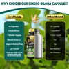 Tenmido Ginkgo Biloba Supplements - 6in1 with Bacopa, Ashwagandha, Turmeric,