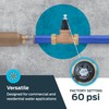 Cash Acme EB45 Pressure Regulating Valve, Double Union, 3/4 Inch