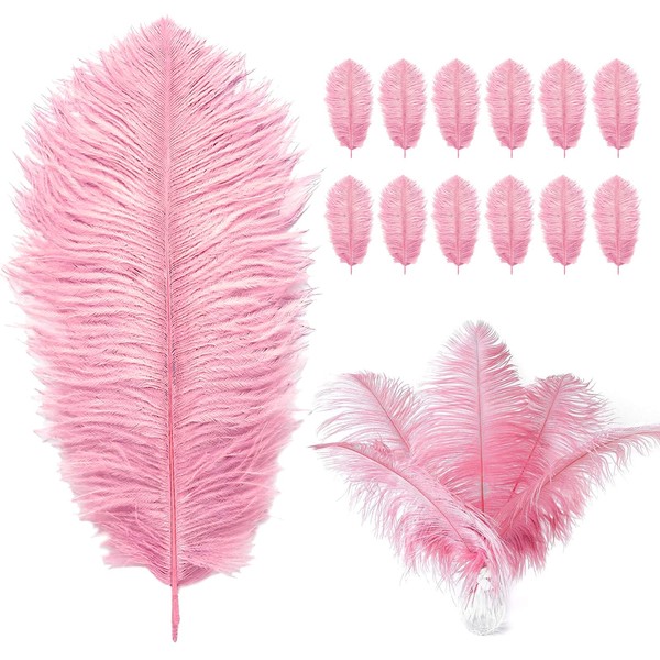 12PCS Pink Ostrich Feathers 8-10inch Natural Ostrich Plume Set for Home Office Room Wall Table Vase Holiday Reception Décor Wedding Masquerade Mask Party Birthday Ornament Crafts DIY Decoration Use