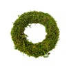 Wreath Moss 10 cm (Pack of 8), Natural Product, 12